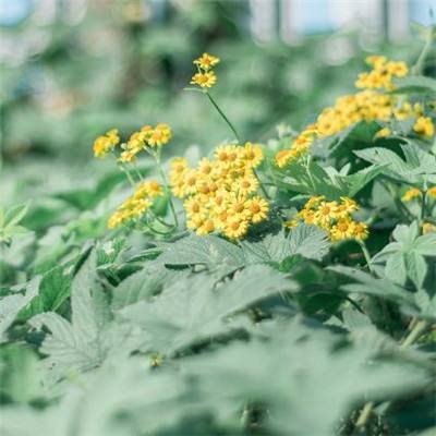 澳亚国际-登录入口